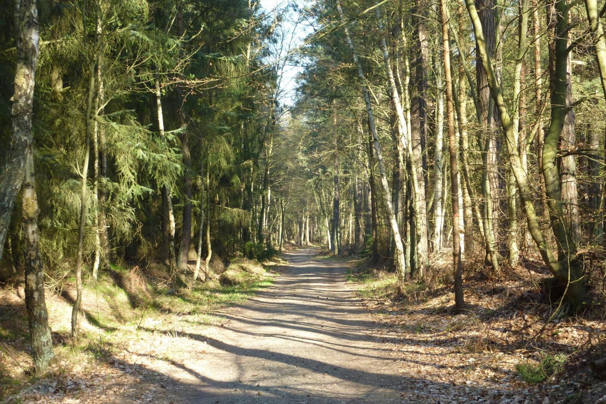 Fewo Rothirsch - Heuser Prerow Buitenkant foto